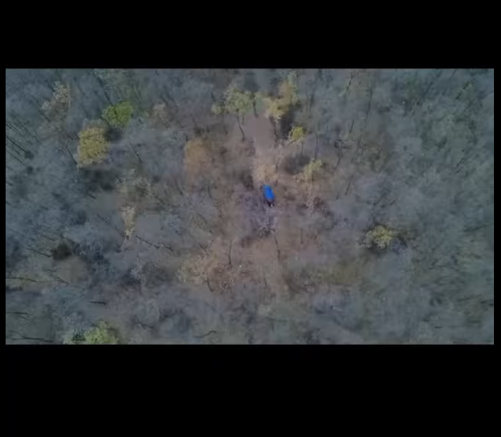 Defrișări ilegale și plantări de fațadă — investigație în Costești, Pojăreni și Hâncești - Garda Națională de Mediu